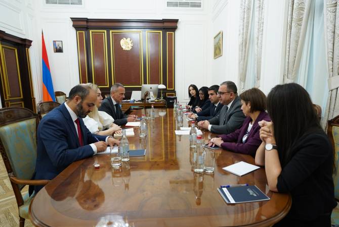 Вице-премьер РА принял главу делегации МККК в Армении