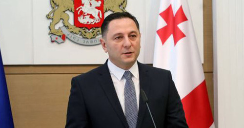 Гомелаури: МВД Грузии работает над исполнением решения суда по делу Ники Мелия