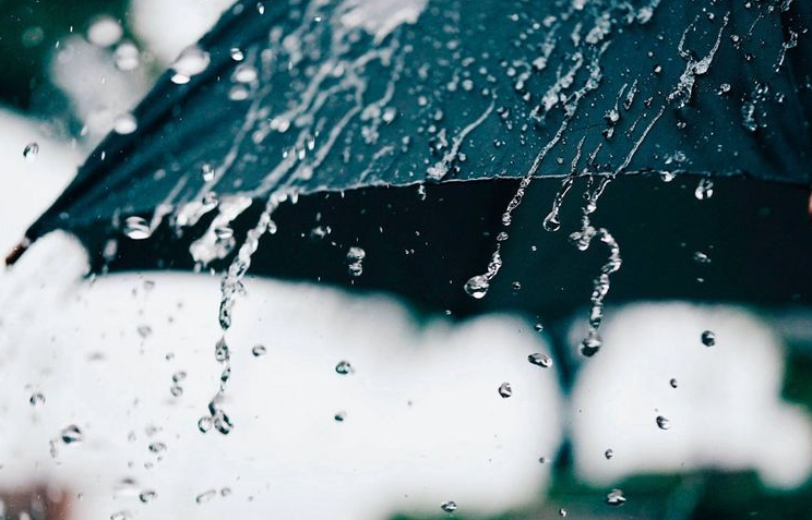 Фото: Tribune.am