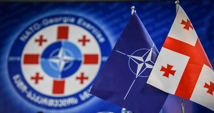 Грузия и Украина сегодня не готовы стать членами НАТО - спецпредставитель Госдепа США