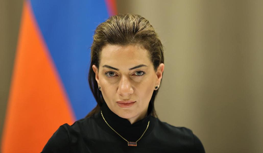 В Армении потребовали привлечь Анну Акопян к административной ответственности