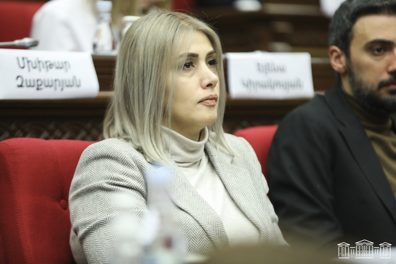 Варданян: Арцах  220 дней находится в тотальной изоляции, реакция Еревана несоразмерна