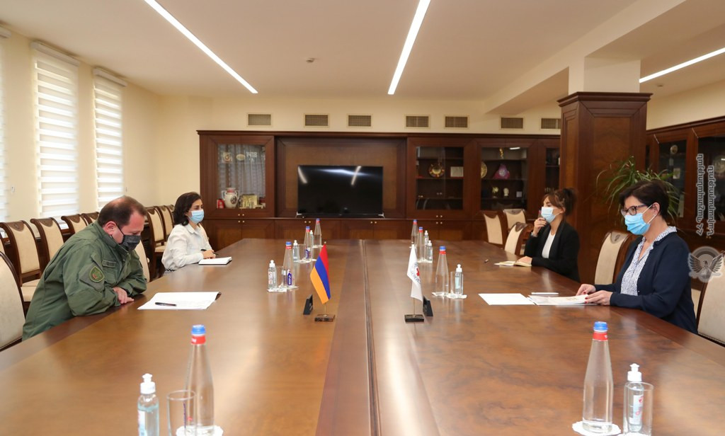 Давид Тоноян обсудил с делегацией МККК проблему военнослужащего Гургена Алавердяна