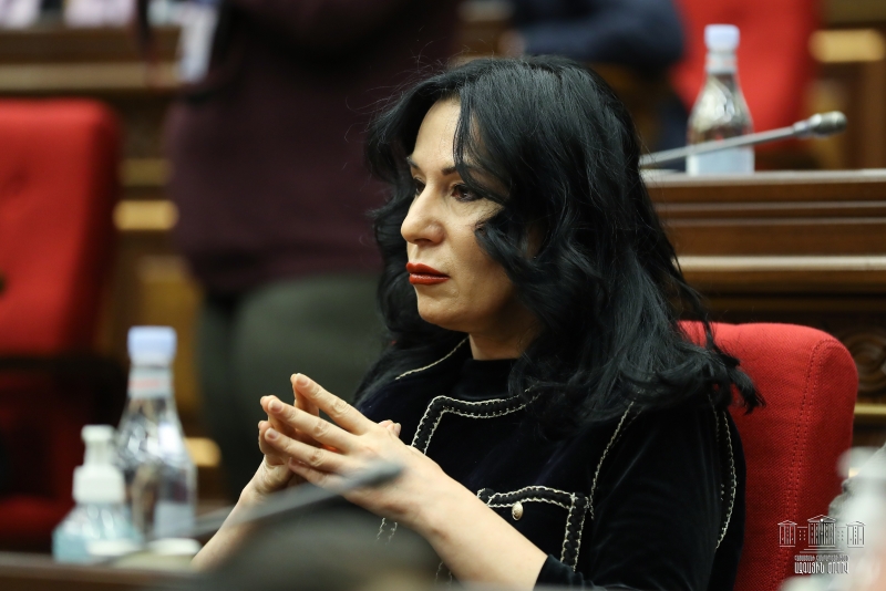 Наира Зограбян: Главная изюминка внеочередки - криминализация публичной ругани