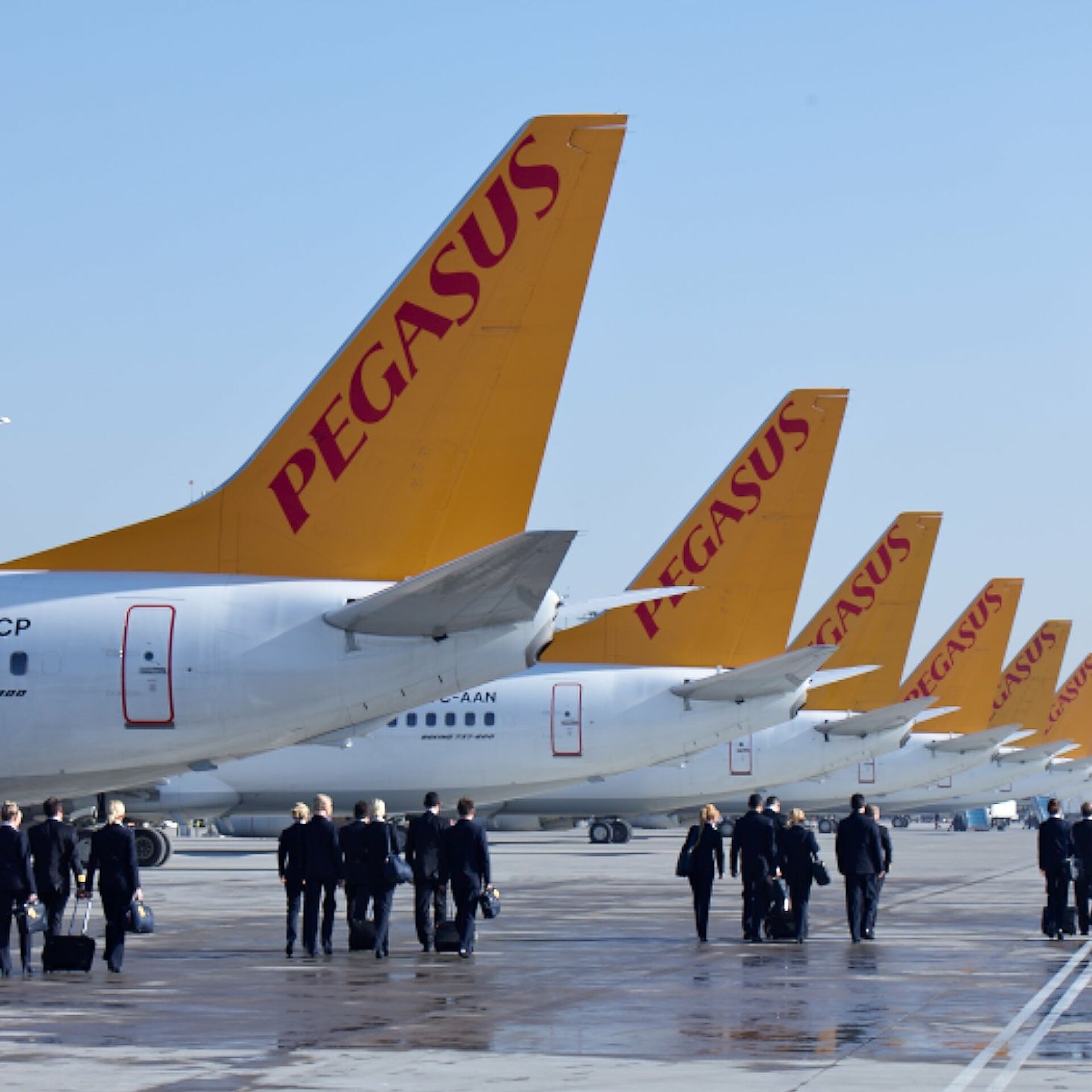 Թուրքական «Պեգասուս» ավիաընկերությունը դիմել է Ստամբուլ-Երևան չվերթ իրականացնելու հայտով