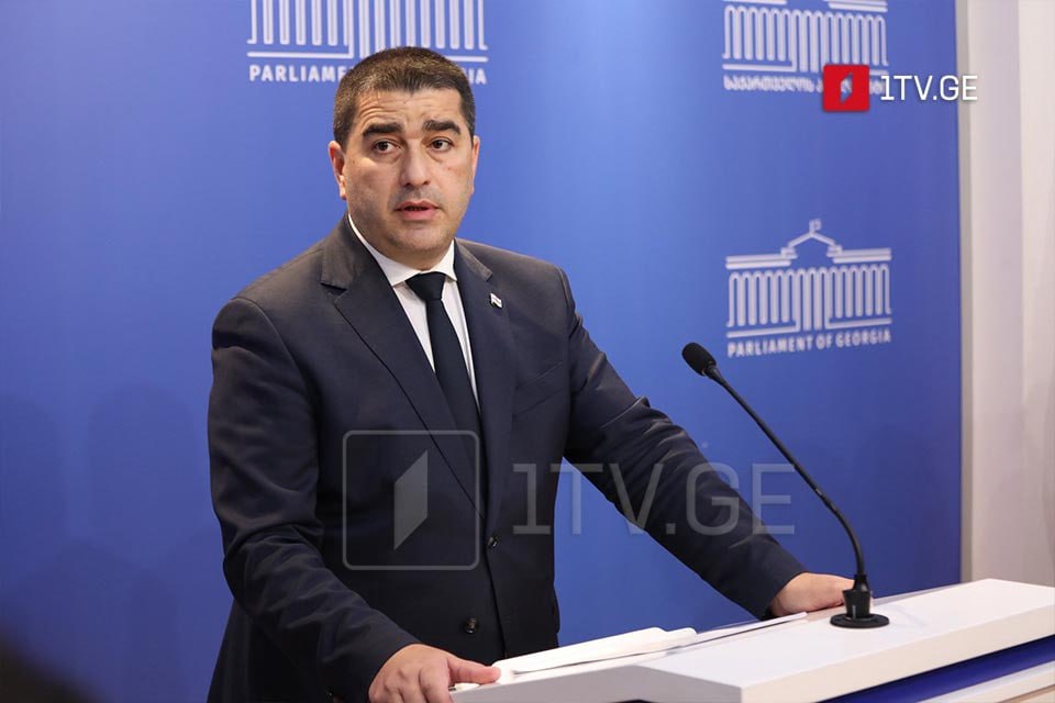  Брюссель стал оппозицией властям Грузии — спикер парламента Папуашвили  