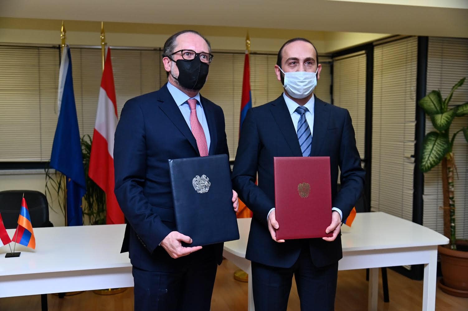 Главы МИД Армении и Австрии подписали Совместную декларацию
