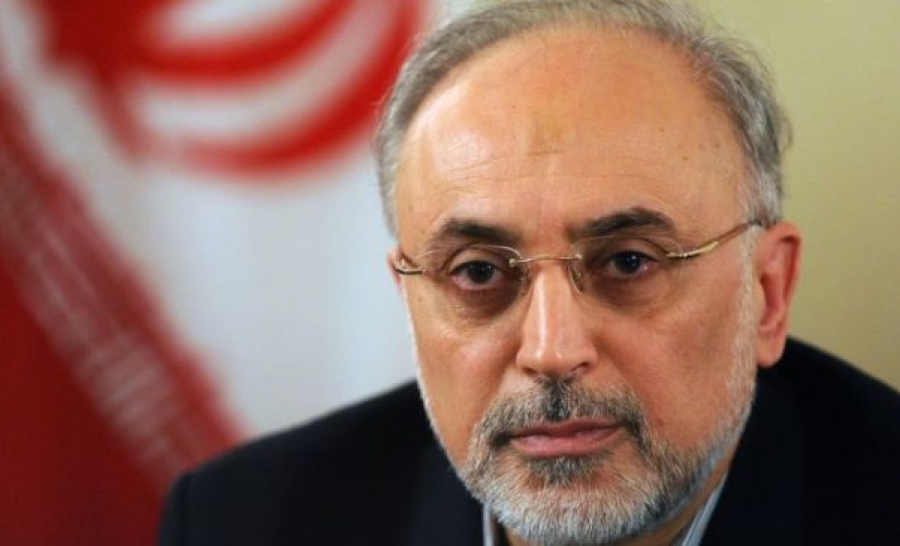 Салехи: Иран способен запустить обратно все процессы, существовавшие до СВПД 