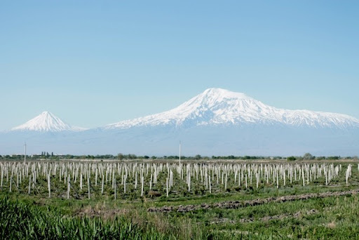 Արարատյան դաշտում սպասվում է մինչև 5 աստիճան ցուրտ