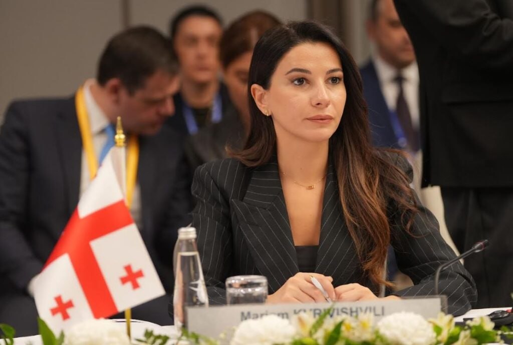  Грузия продолжает упрощать транзитные процедуры – министр экономики 