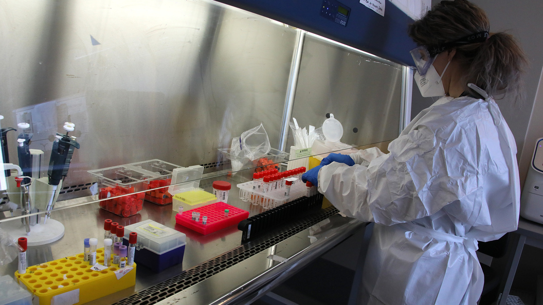 Ветераны СНБ РА требуют проверить работу биолабораторий, финансируемых США