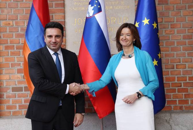 Ален Симонян провел переговоры с вице-премьером и главой МИД Словении Таней Файон 