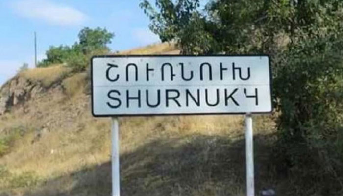 Азербайджанцы угнали скот у фермера из Шурнуха: Зограбян обратилась к Мурадову 
