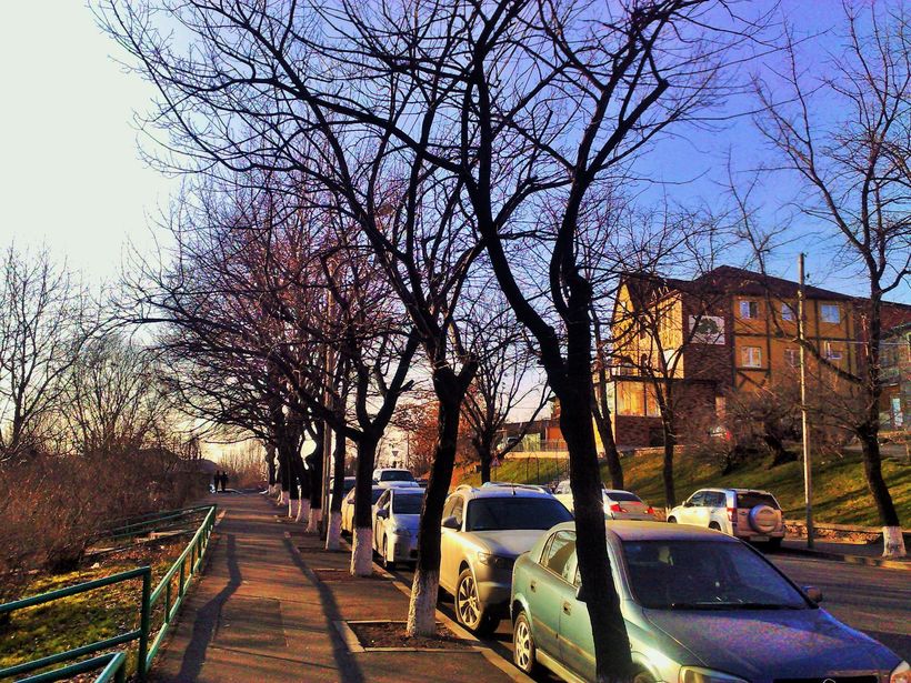 Ожидается погода без осадков: температура воздуха существенно не изменится