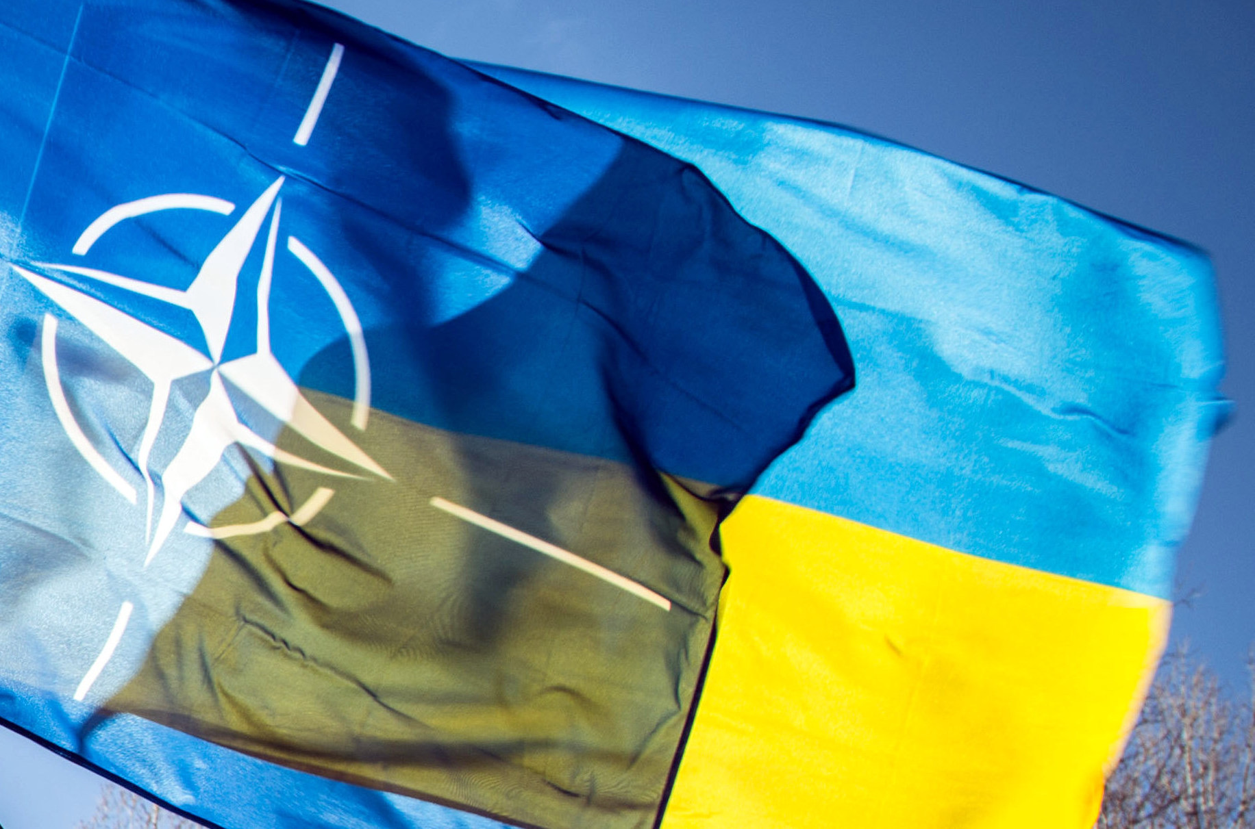 Конфликт на Донбассе не препятствие для вступления Украины в НАТО — представитель альянса
