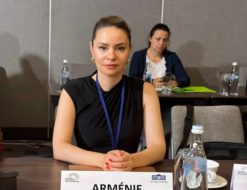 Сона Казарян заменит Армана Егояна на посту главы комиссии по евроинтеграции