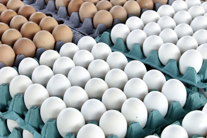 В Армении ряд производителей яиц обвиняют в ценовом демпинге – ГКЗЭК 