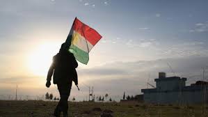 Минобороны Турции сообщили о 673 убитых курдов в ходе операции на севере Сирии