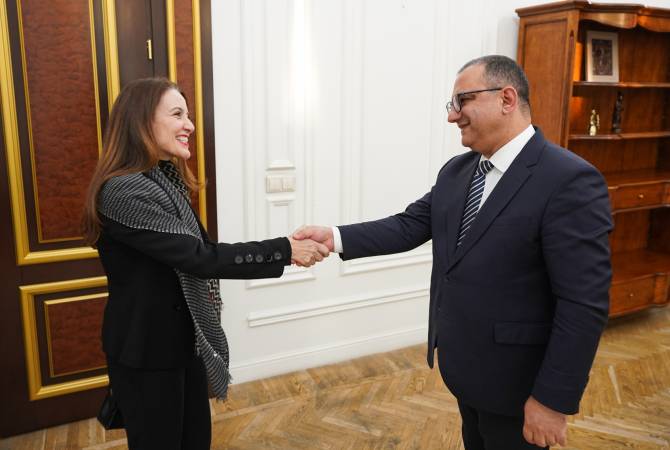Вице-премьер Армении принял регионального директора ЮНИСЕФ