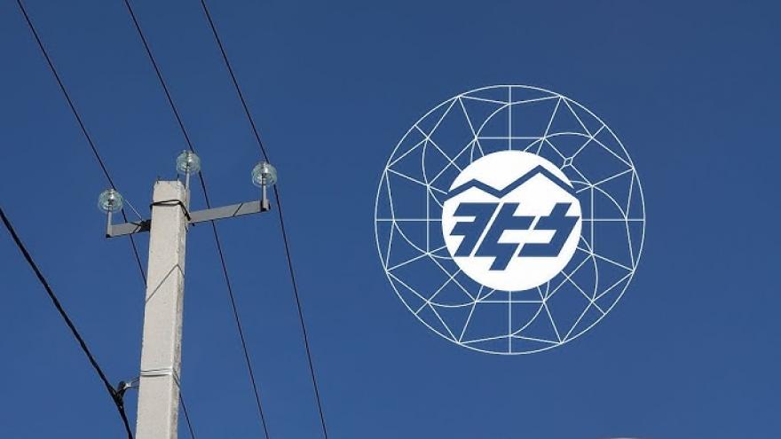 Адвокаты требуют приостановить национализацию «Электрических сетей Армении»