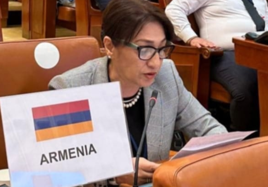 Лилит Галстян на сессии ПА ОБСЕ призвала осудить нарастающий упадок демократии в Армении