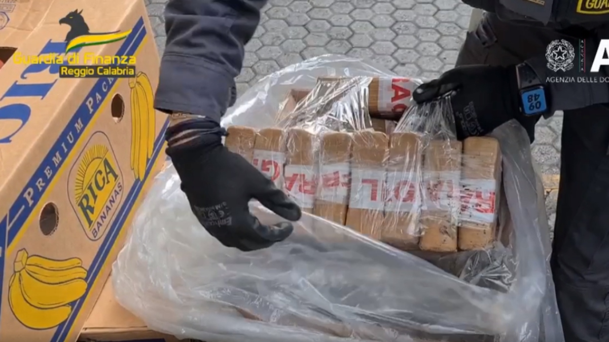 В Италии конфисковали направлявшиеся из Эквадора в Армению почти 3 тонны кокаина