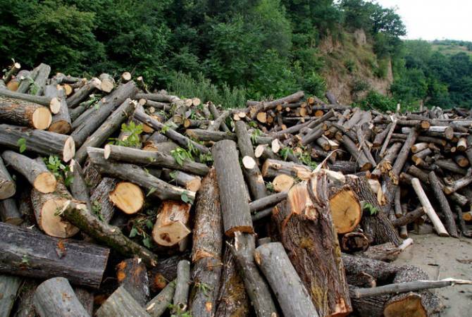 Լոռու մարզում անտառների պահպանության համար 18 պաշտոնատար անձի մեղադրանքներ են առաջադրվել