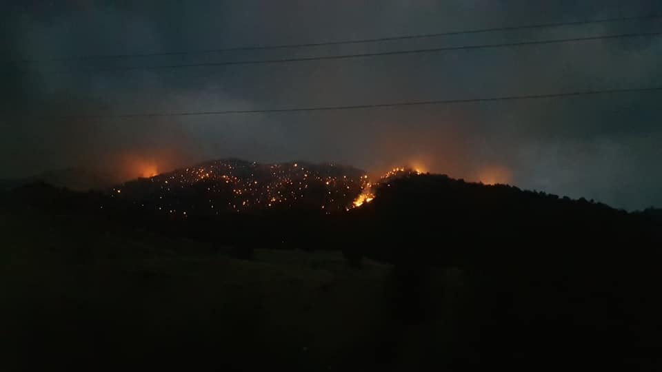 В национальном парке «Аревик» сгорело более 10 гектаров леса: министр