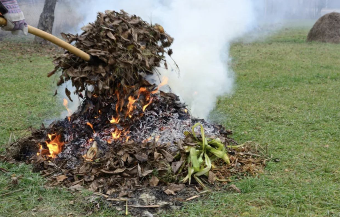 Фото: https://www.instagram.com/p/DP_FGdpCELM/