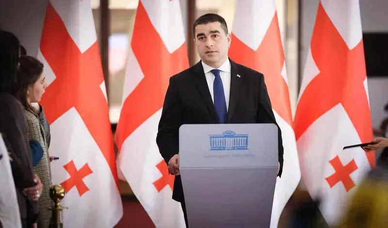  Какой это стандарт? – спикер парламента Грузии о «тайном финансировании» ЕС радикалов 