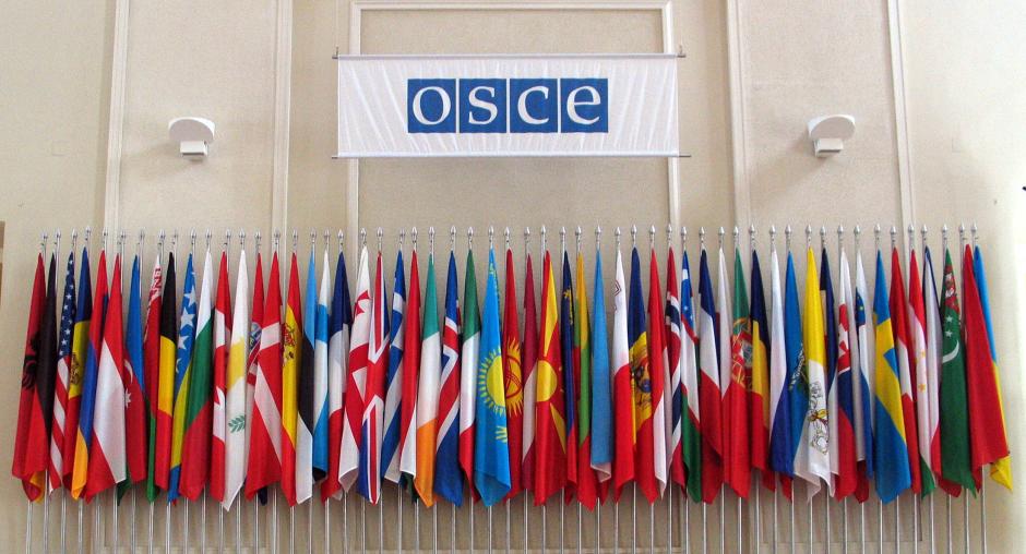 В ОБСЕ считают закон Украины о государственном языке дискриминационным