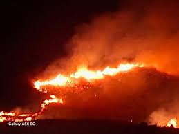 Դիլիջանի ոլորանների անտառային հատվածներում բռնկված հրդեհները ամբողջությամբ մեկուսացված են