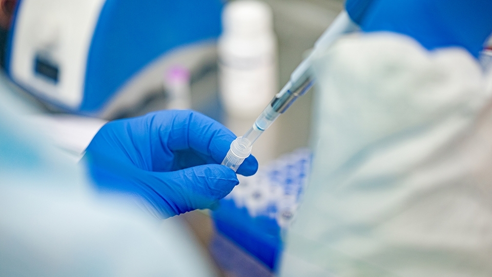 Moderna работает над разработкой вакцины против штамма коронавируса «омикрон»
