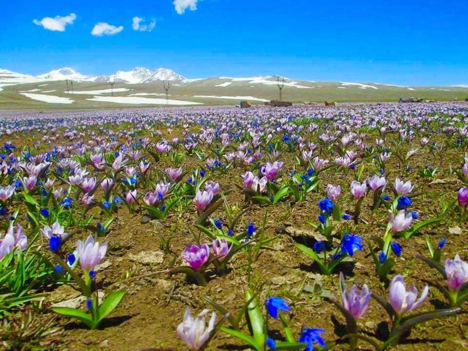 Ցերեկային ժամերին օդի ջերմաստիճանը կգերազանցի +20 աստիճանը