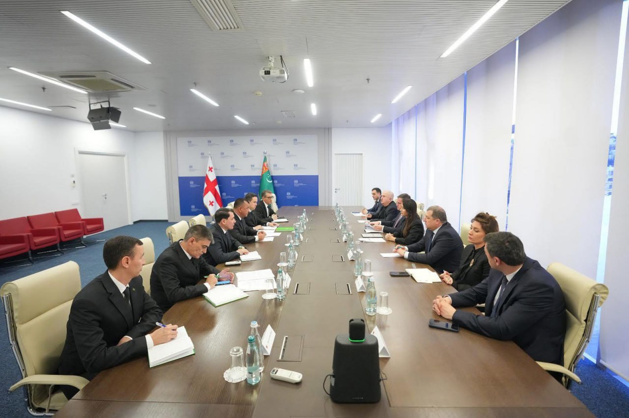  Грузия заявила о желании стать транзитёром туркменского газа и нефти в ЕС 