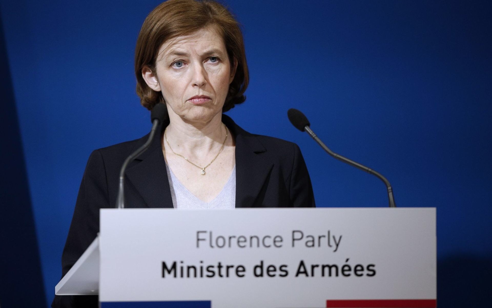 Франция: США не должны навязывать союзникам по НАТО вооружения собственного производства