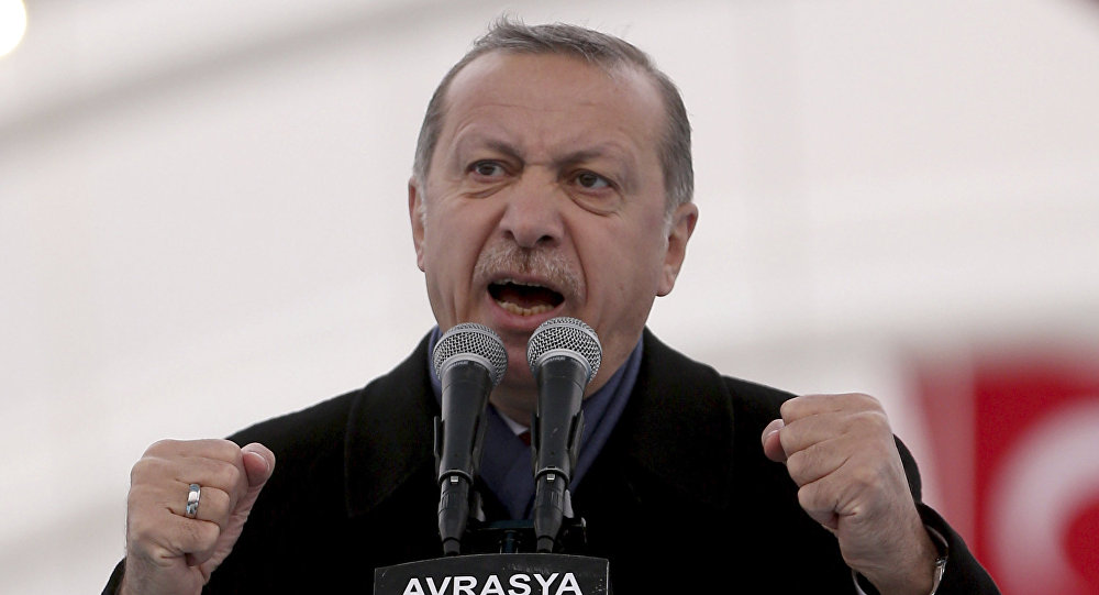 Sueddeutsche Zeitung: Эрдоган идет войной на сирийских курдов