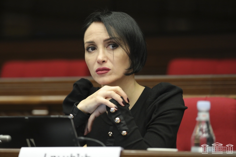Депутат ГД упрекнула оппозицию в повторении азербайджанских нарративов