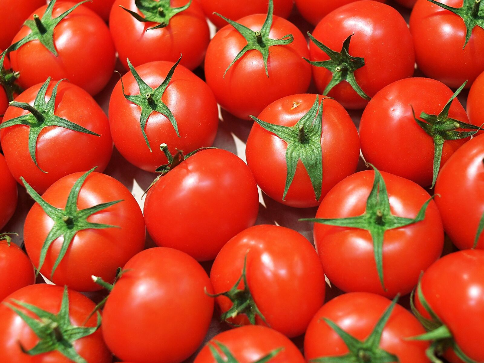 Россия запретила ввоз помидоров из одной области Армении 