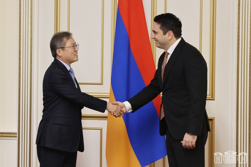 Армения ожидает от международных партнеров адресных шагов в отношении Баку - спикер НС