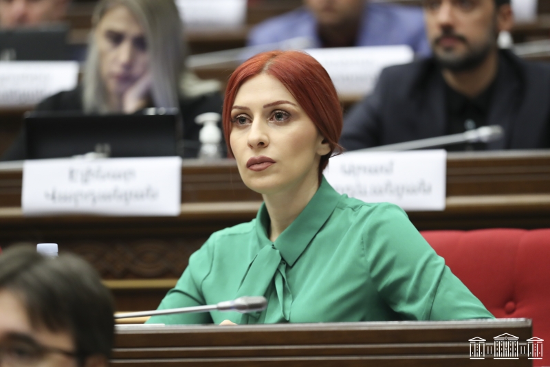 Агнесса Хамоян: Пашинян выполняет то, что обещал Эрдогану и Алиеву