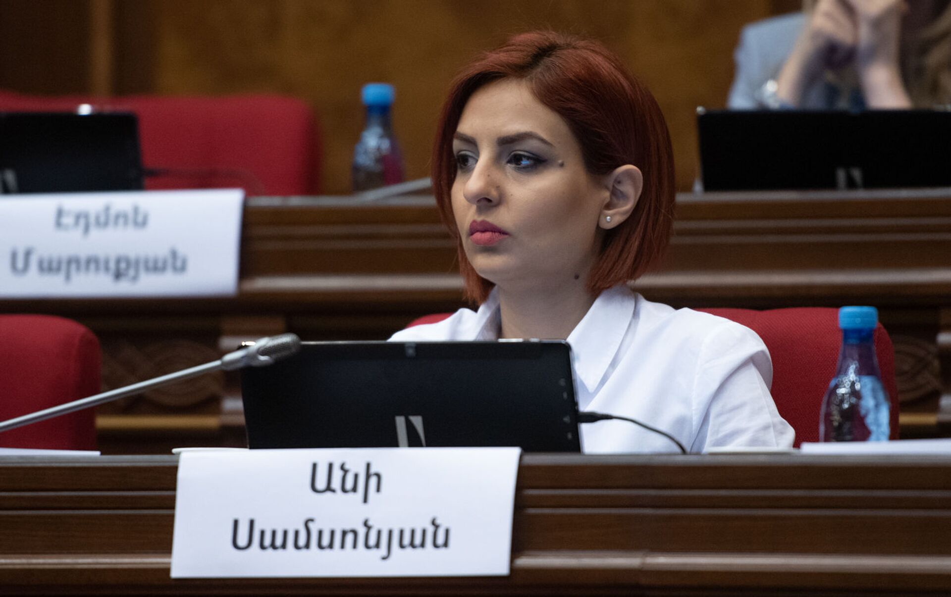 В кабинет бывшего депутата НС Ани Самсонян ворвался злоумышленник