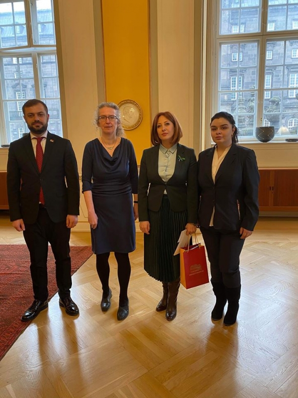Депутаты представили члену Верховного суда Дании ситуацию вокруг КС Армении