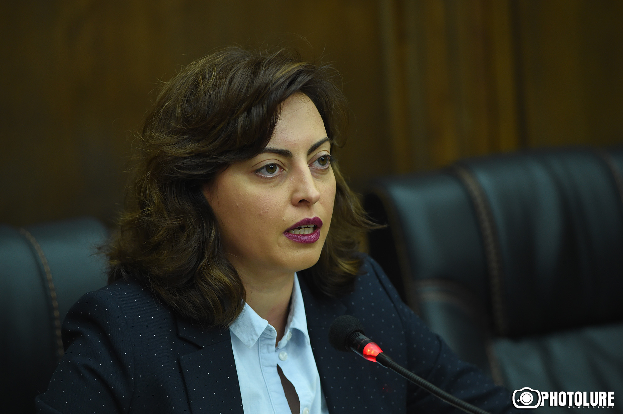 Лена Назарян: Действия РПА - жалкая попытка удержать мандаты