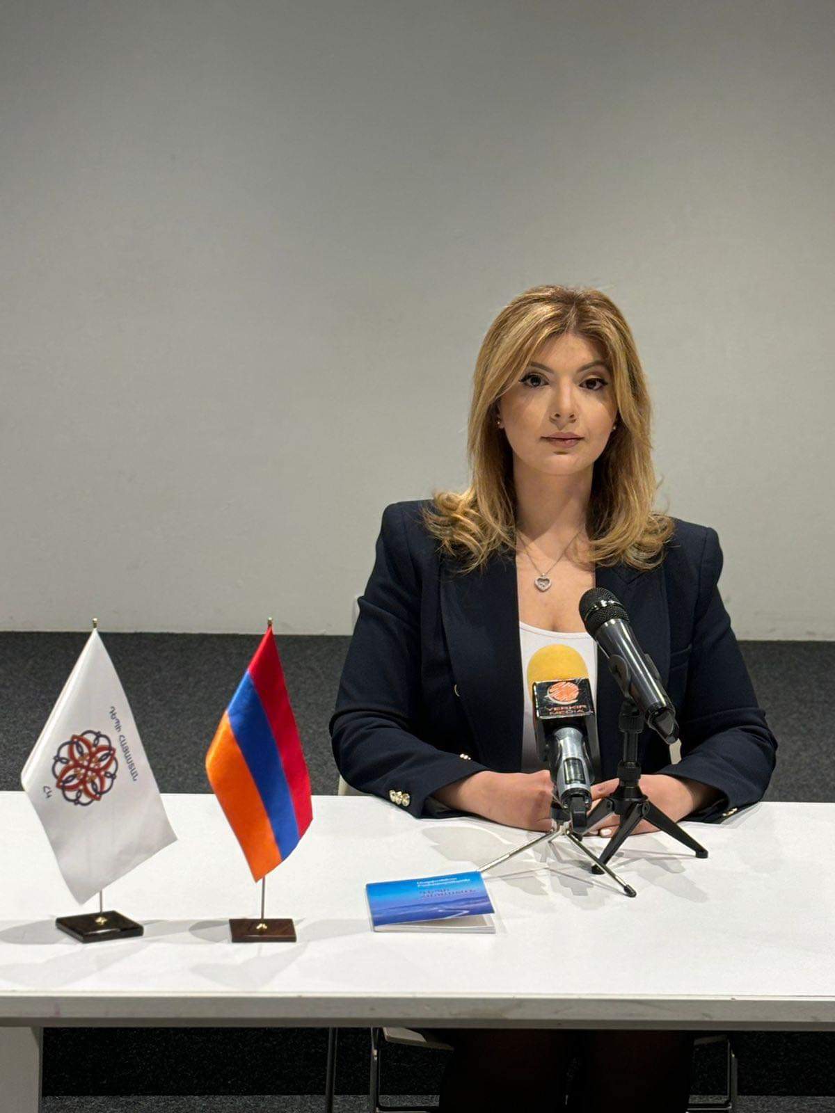 В Ереване представили новую организацию, которая займется отношениями Армения-диаспора 