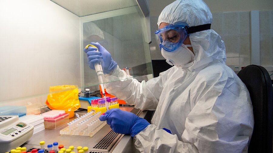 Российские специалисты выделили новый вариант южноафриканского штамма коронавируса