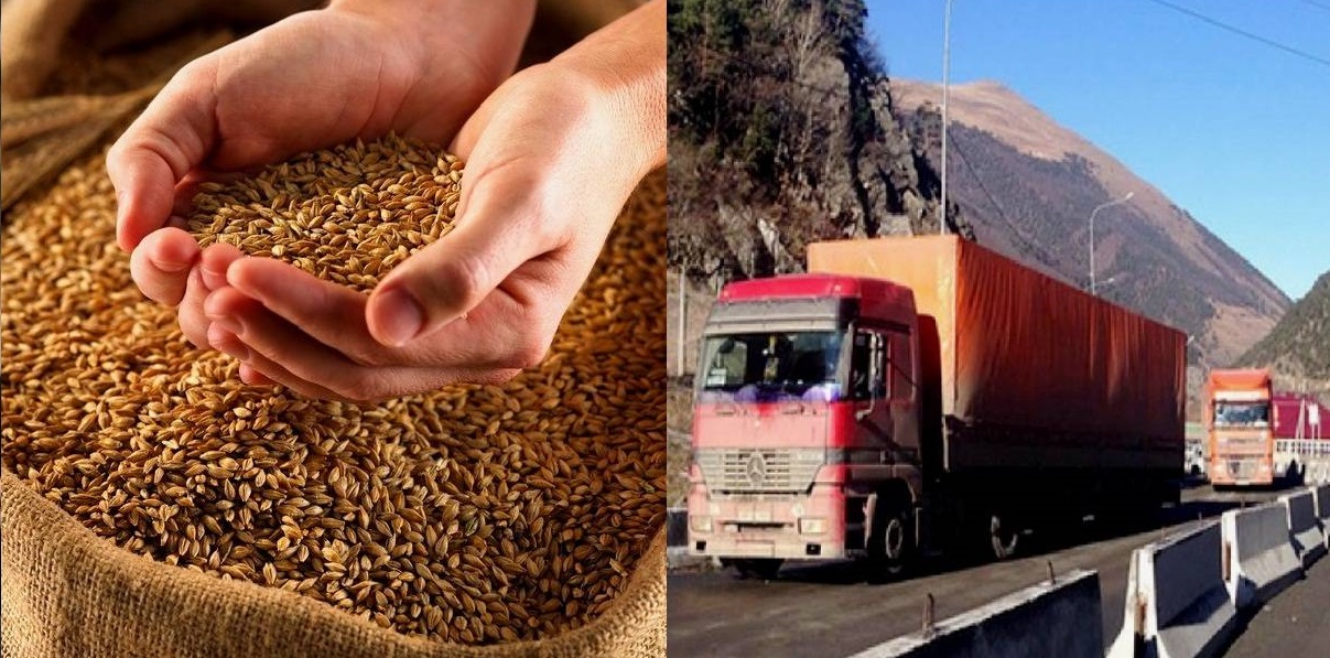 Մամուլ. Հարված ՀՀ-ին. Վրաստանը աշնանը կարող է արգելել ցամաքային ճանապարհով ցորենի ներկրում