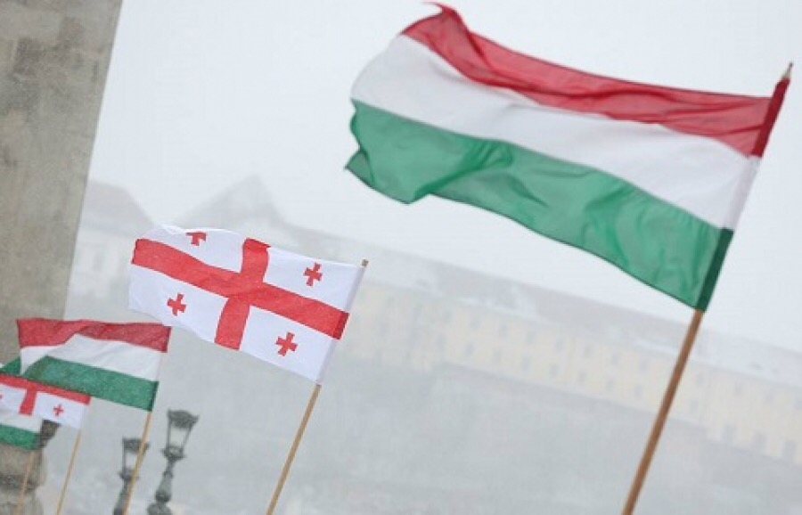 Грузия и Венгрия углубляют отношения на фоне пандемии Covid-19