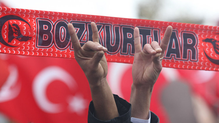 Эрдоган на митинге показал символ «серых волков»