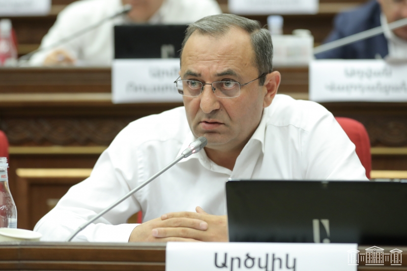Арцвик Минасян: Оппозиция использует все законные методы для смены власти